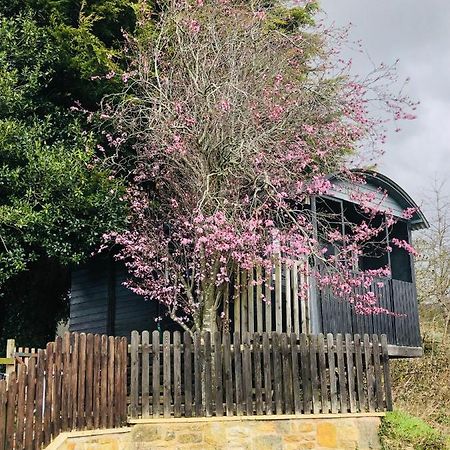 The Cherry Tree Gypsy Wagon Banbury Exteriör bild