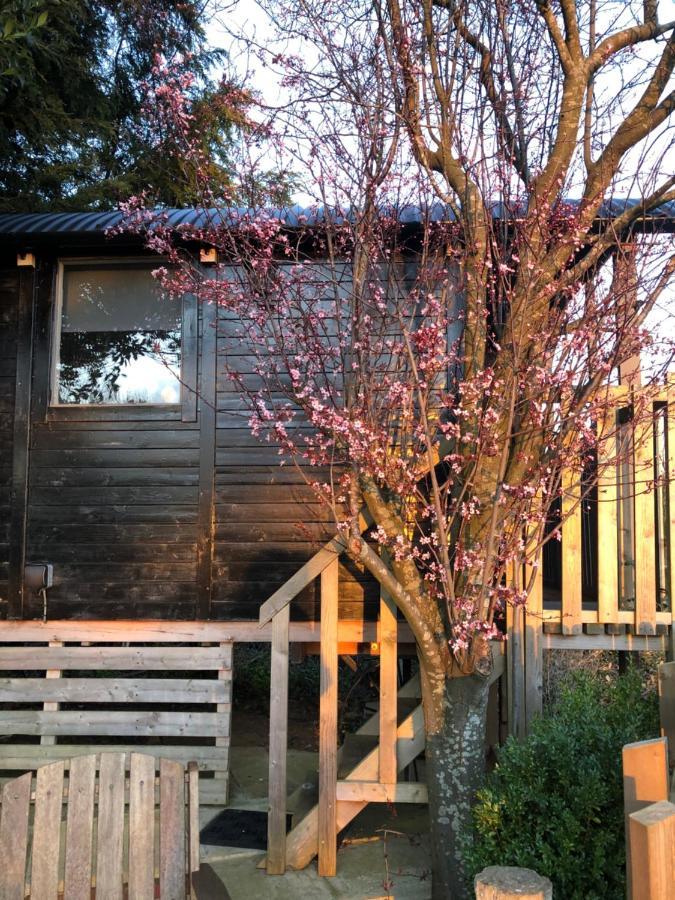 The Cherry Tree Gypsy Wagon Banbury Exteriör bild